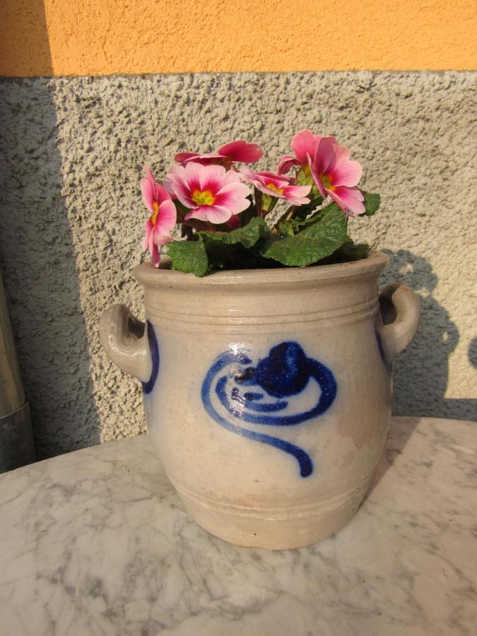 Gite Le Vigneron Donnenheim 외부 사진